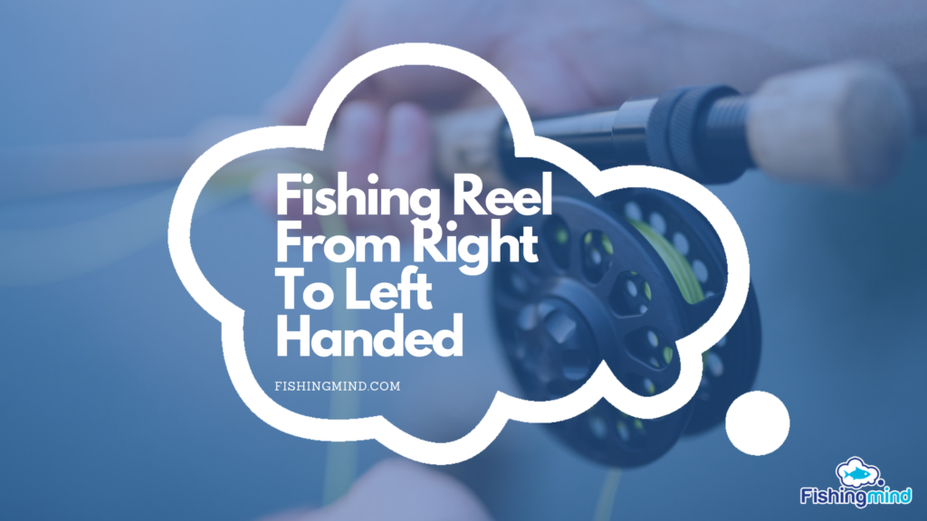 Fishing Reel From Right To Left Handed