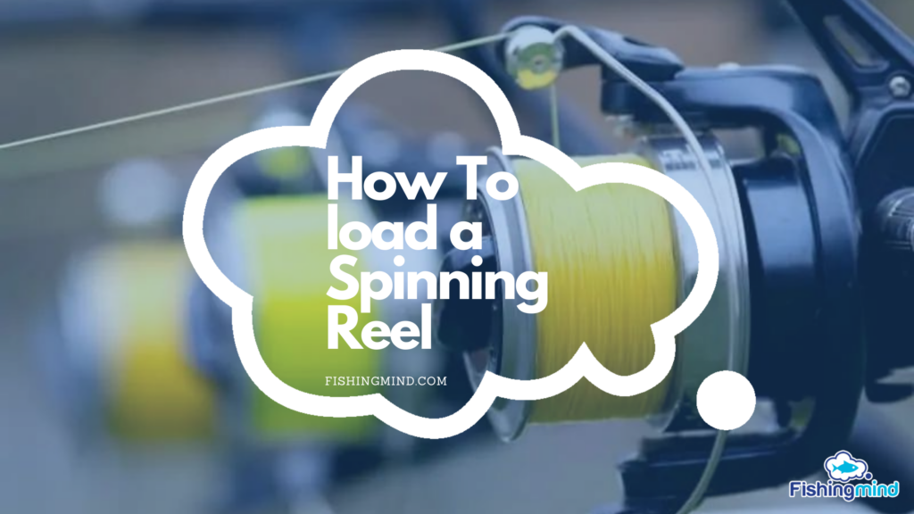 How To load a Spinning Reel banner