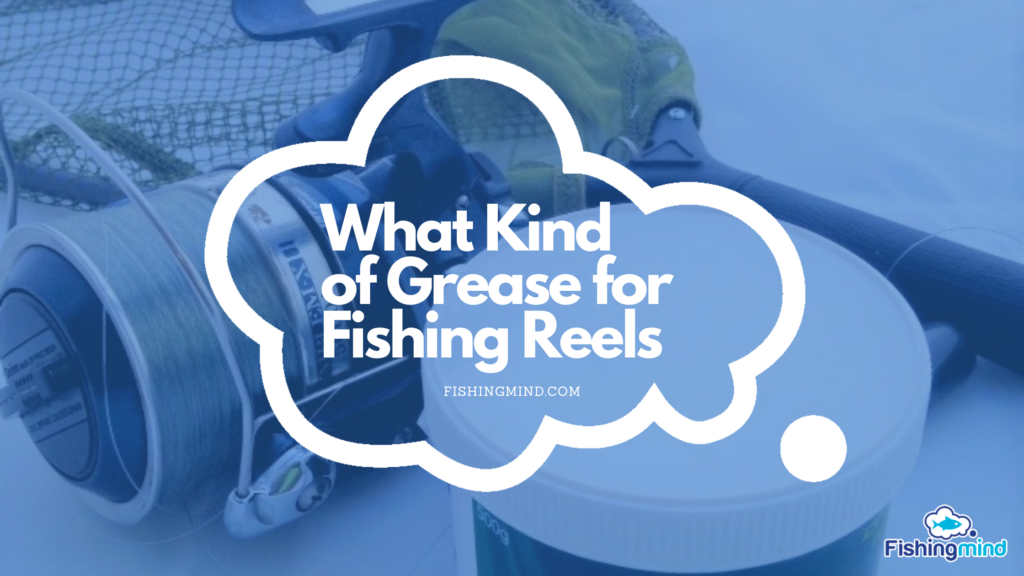 What Kind of Grease for Fishing Reels